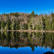 Image of Crane Pond